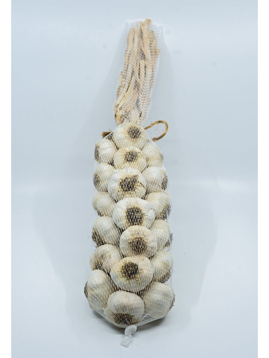 Trenza de ajo Gilroy 1 1/2 pies de longitud mediana