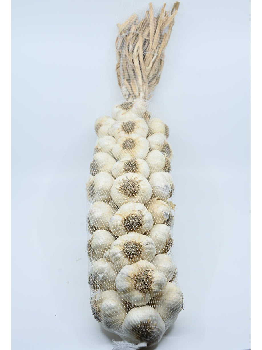 2 foot Gilroy Garlic Braid BEST DEAL! 4.5 to 5 pounds $29.98