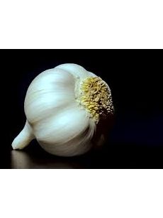 Fresh Elephant Garlic  6 oz approx  $6.98