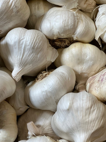 Gilroy Garlic Super Colossal Size Christopher Ranch 5 loose heads approx 1 lb $5.99